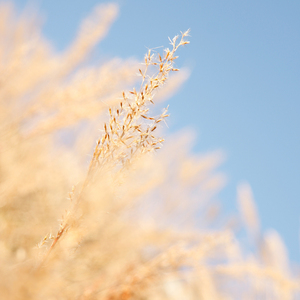 3p少妇被两根一起进3p
